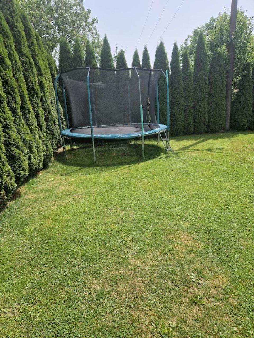 Apartmany Sophia 5 A 6 Velké Losiny Exterior foto